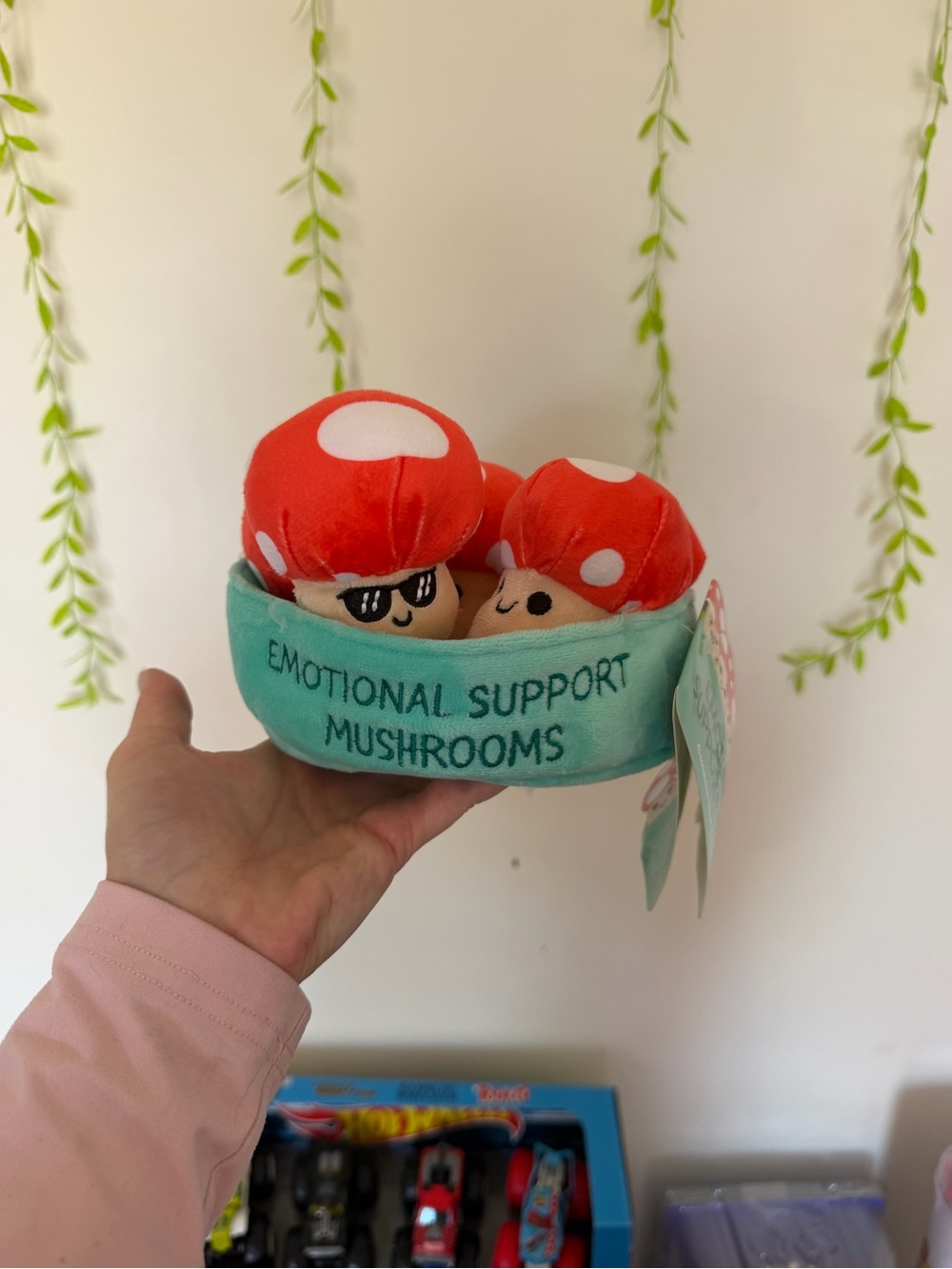 Emotional Support Mushrooms Plush Set - Red & Mint Comfort Bowl